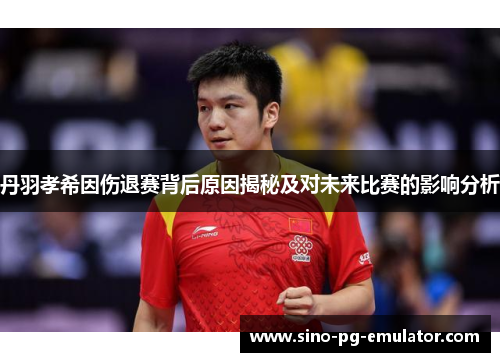 丹羽孝希因伤退赛背后原因揭秘及对未来比赛的影响分析