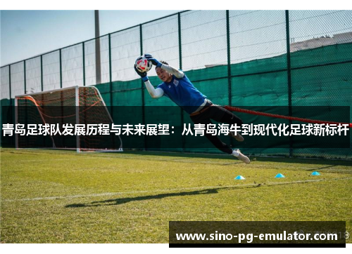 青岛足球队发展历程与未来展望：从青岛海牛到现代化足球新标杆