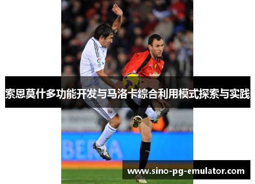 索恩莫什多功能开发与马洛卡综合利用模式探索与实践